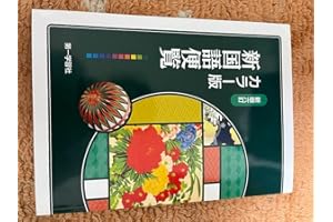 カラー版新国語便覧