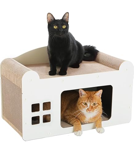 猫騙/Megalomania 帯付き 812aixAFqOL._SY200_QL15_.jpg