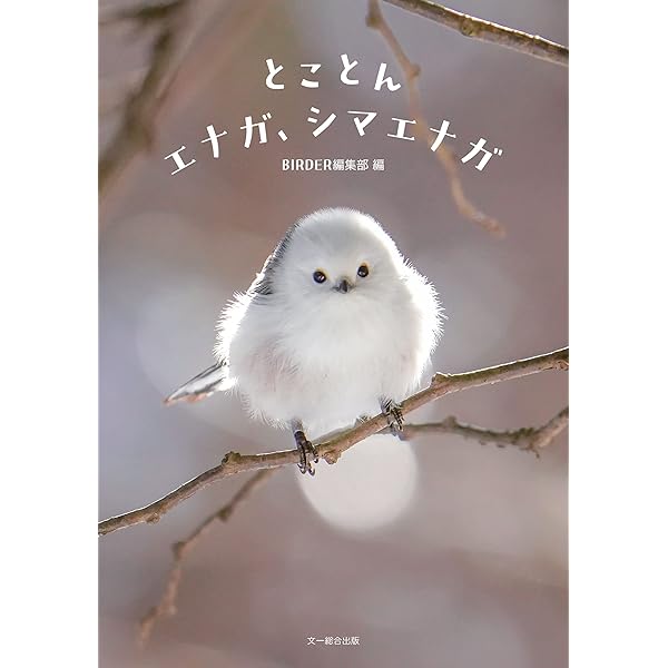 Amazon.co.jp: ぼく、シマエナガ。: あなたを癒してくれる63の写真