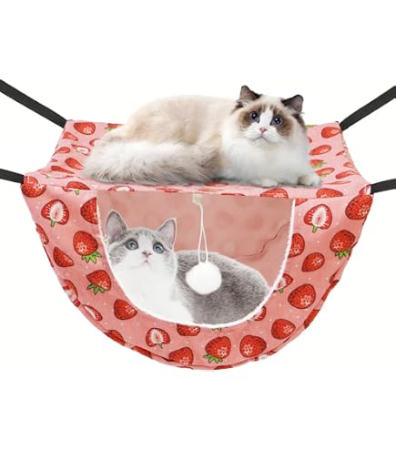Amazon.co.jp: JSPYFITSキャットケージ ハンモック ボール付き、ダブル