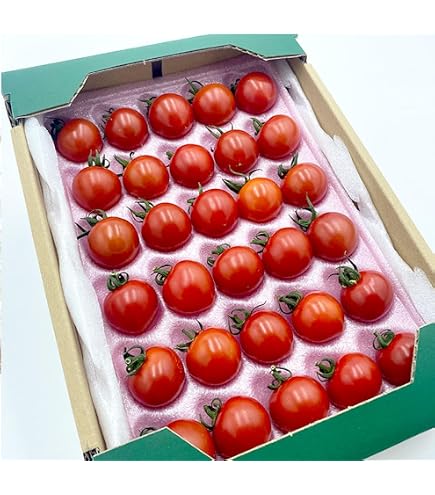 Amazon.co.jp: 高糖度フルーツトマト「アメーラ」秀品 約1kg 2S~M
