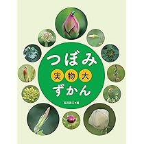 つぼみ・たね・はっぱ・・・しょくぶつ　これ、なあに？（全７巻セット） 図書館用特別堅牢製本図書/ポプラ社/斎木健一（単行本） なんの つぼみ？ (つぼみ・たね・はっぱ・・・しょくぶつこれ