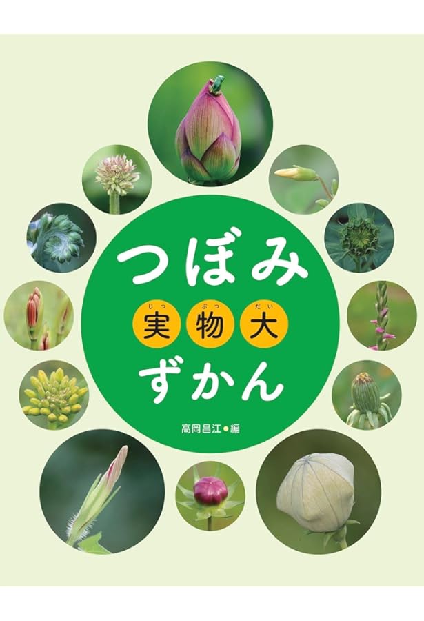 なんの つぼみ？ (つぼみ・たね・はっぱ・・・しょくぶつこれ、なあに
