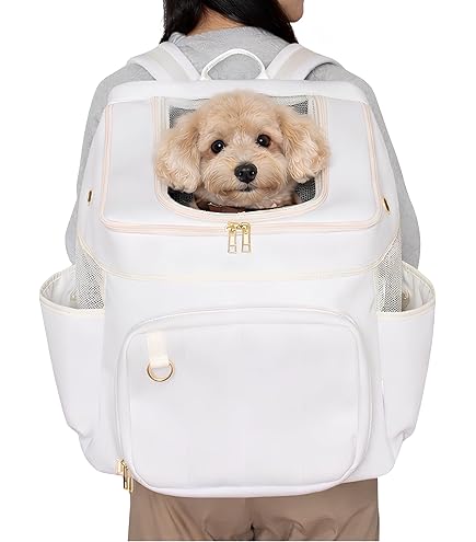 Amazon.co.jp: RITOGATO（リトガト）VODDLY クールフロントバッグ