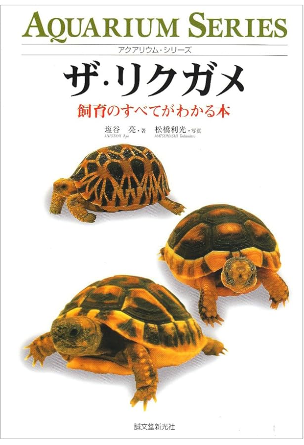Amazon.co.jp: リクガメ (見て楽しめる爬虫類・両生類フォトガイド