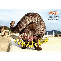 にゃんたま | 芳澤 ルミ子 |本 | 通販 | Amazon