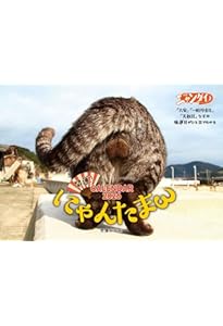 Amazon.co.jp: にゃんたま : 芳澤 ルミ子: Japanese Books