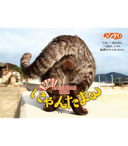 にゃんたま Amazon.co.jp: にゃんたまぬいぐるみ with : おもちゃ