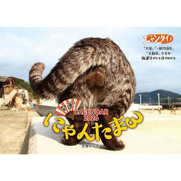 にゃんたまω | 芳澤 ルミ子 |本 | 通販 | Amazon