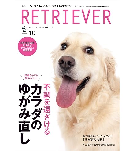 マイトマックススーパー 中型・大型犬用60カプセル 3個セット【送料無料】 共立製薬 マイトマックス・スーパー 中型・大型犬用 60カプセル