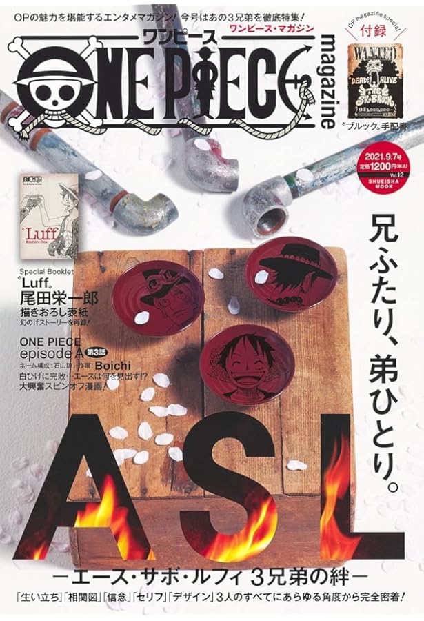 Amazon.co.jp: ONE PIECE magazine Vol.15 (集英社ムック) : 尾田