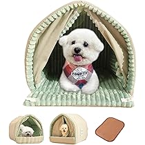 71Y11h-TJWL._AC_UL210_SR210,