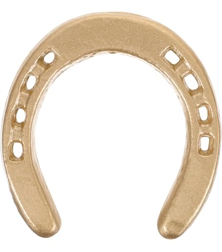 Amazon.co.jp: MUCKLILY 蹄鉄 馬蹄 飾り 壁掛け オブジェ アイアン