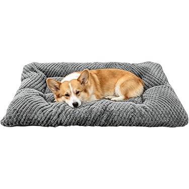 Amazon.co.jp 最新リリース: 犬用ベッド・クッション の新着ランキング