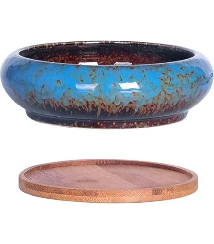 Amazon | 【盆栽鉢】 本鞍馬石 舟形鉢（左右13cm） いよじ園 | 鉢