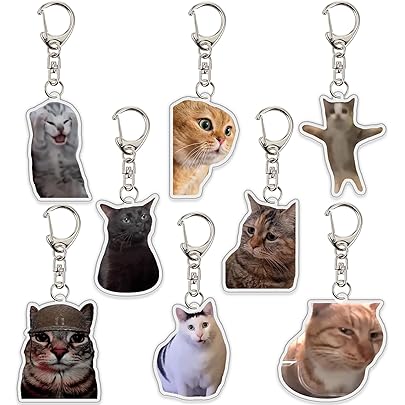 Amazon.co.jp: [iSEN LABEL] 猫ミーム 猫meme キーホルダー 説教猫