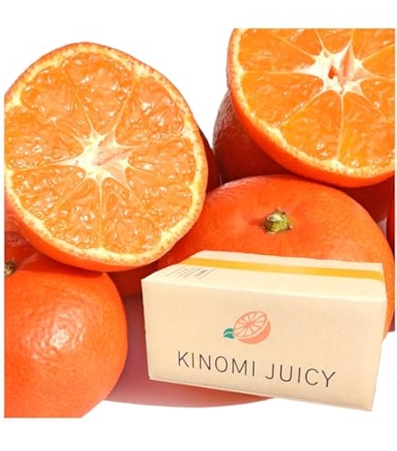 Amazon.co.jp: みかん 訳あり 大容量 箱込15キロ 熊本産 フルーツ