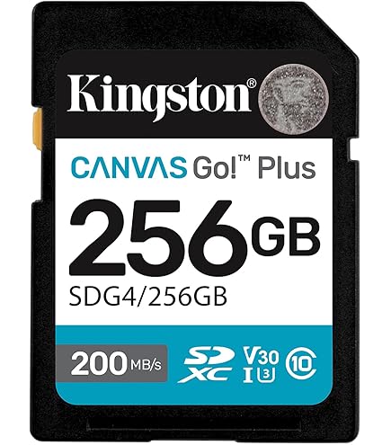 Amazon | Kingston 64GB SDXC Micro Canvas Go!メモリーカードと