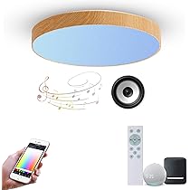 Amazon.co.jp : OFFDARKS シーリングライト LED スピーカー搭載