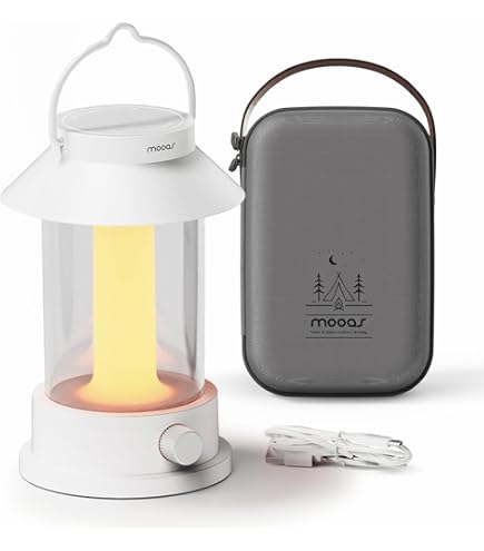 Amazon.co.jp: バルミューダ ザ・ランタン ポータブルLEDランタン