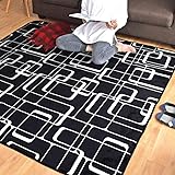 StorePocket ラグ カーペット ラグマット 洗える 2畳 おしゃれ 抗菌 防臭 防ダニ 約185×185cm ブラック 幾何柄 ホットカーペットカバー ホットカーペット対応 床暖房 メビウス MEVIUS