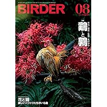lrik　BIRDER 鳥類観察 2023.1～2024.8 BIRDER 2023年1月号～ Hobby's World｜野鳥撮影やバード