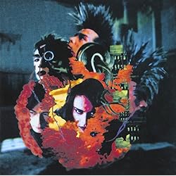 BUCK-TICK 悪の華 リマスター初回盤 Amazon.co.jp: 悪の華: ミュージック