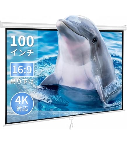 Amazon | オーエス電動スクリーン（SEC、EH、E1、EG）用 赤外線