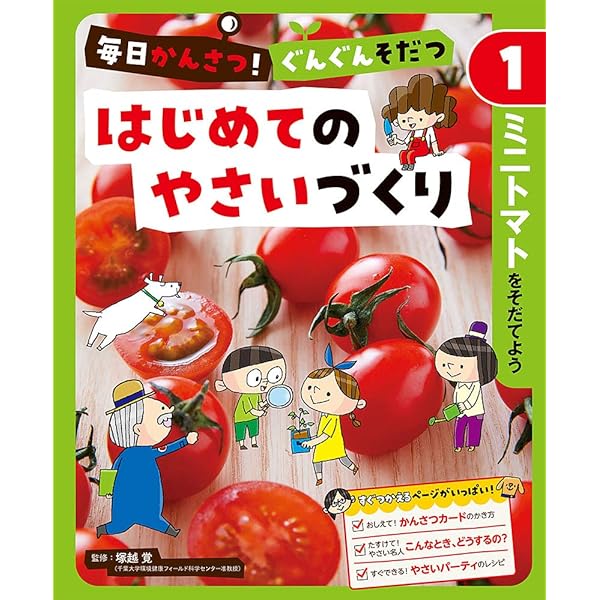 そだてる・かんさつ・まとめる　めざせ！やさい名人（全５巻セット）/小峰書店/河村亮（大型本） そだてる・かんさつ・まとめる めざせ!やさい名人 5サツマイモ