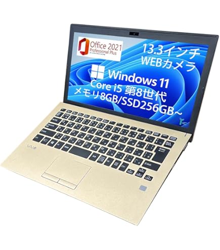 Amazon.co.jp: SONY VAIO Eシリーズ VPCEE25FJ マットホワイト Athlon