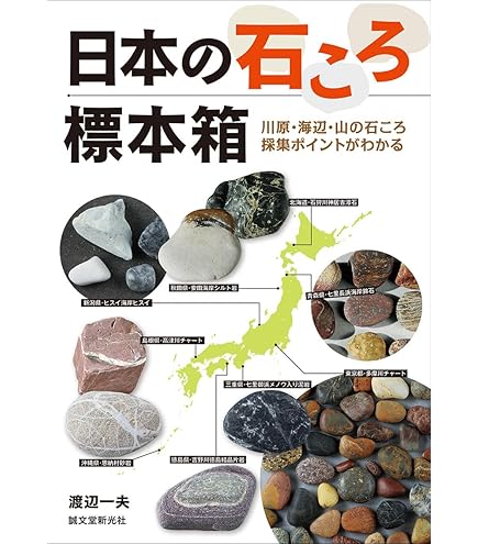 Amazon.co.jp: 岩石標本(岩石・鉱物標本100種) /3-657-10 : おもちゃ