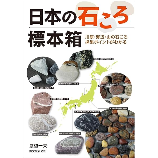 Amazon.co.jp: 素敵な石ころの見つけ方 (中公新書ラクレ 626) : 渡辺