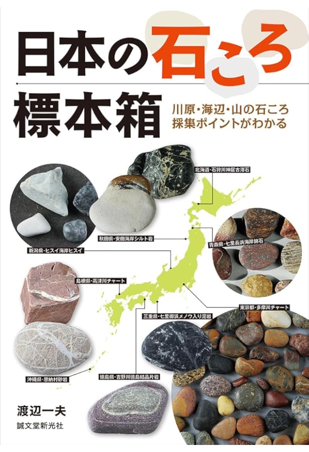 Amazon.co.jp: 素敵な石ころの見つけ方 (中公新書ラクレ 626) : 渡辺