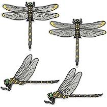 ヤマトクローラー　オニヤンマカラー Amazon.co.jp: Le pumo オニヤンマ ワッペン アイロン