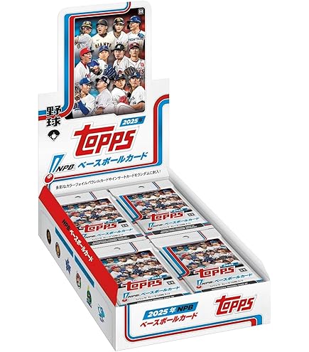 NPB Chrome トレーディングカード 24パックセット×10箱 NPB Chrome トレーディングカード 24パックセット×10箱 NPB Chrome