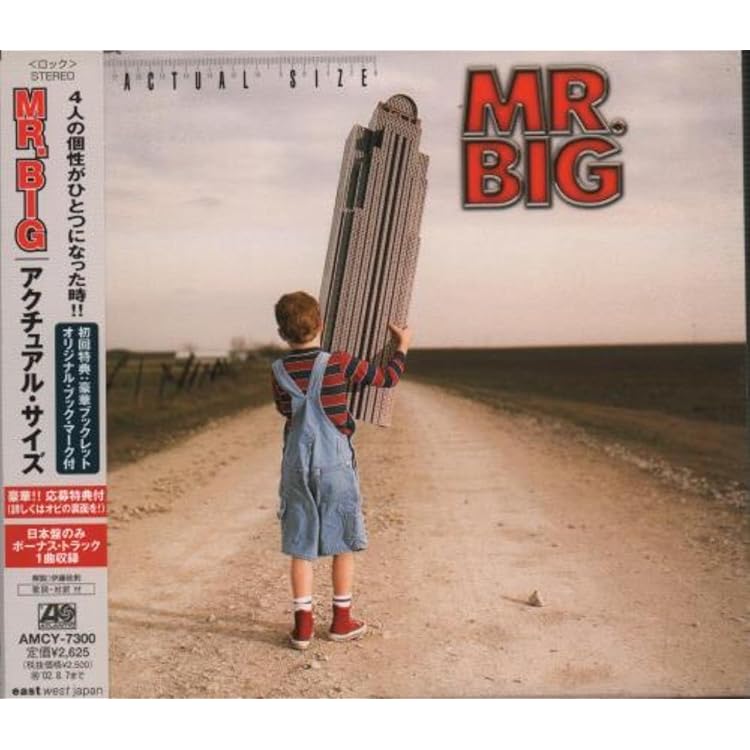 MR.BIG :What If...(2枚組アナログレコード) MR.BIG :What If(2枚組アナログレコード) Amazon.co.jp: What