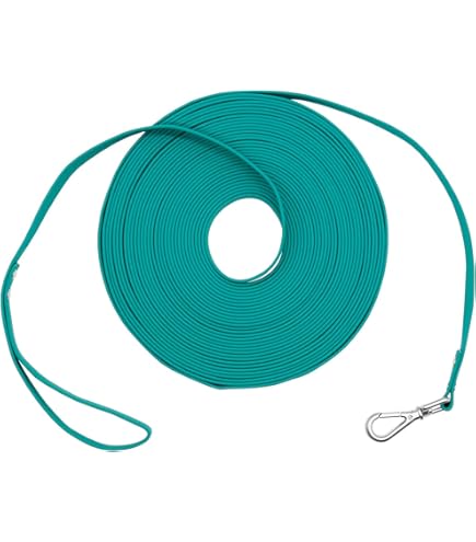 WYuZe Thin Rope Dog Leash For Small Dogs Under 15lbs - 6ft Lightweight Leash With Swivel Clip