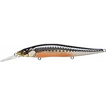 Amazon | メガバス(Megabass) ルアー ONETEN PLUSONE SW GG