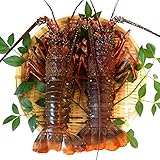 三重県産 伊勢海老 詰合せ 中サイズ３尾で７５０ｇ 刺身用 瞬間 冷凍 伊勢エビ