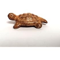 カメ GEX（ジェックス） カメの楽園 450 カメ元気 カメ飼育セット お一