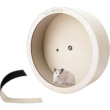 Amazon.co.jp 最新リリース: 小動物用回し車 の新着ランキングです。