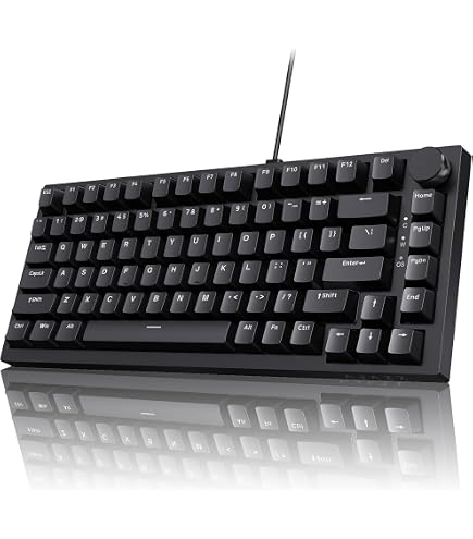RK ROYAL KLUDGE R75 Wired Mechanical Gaming Keyboard, 75% Hot-Swap