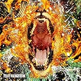 �V�����o��