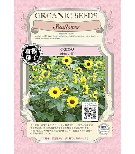 【ひまわり】E・B　AhokeBowl他６点おまとめ Amazon | 株式会社トーホク 秋咲きひまわり 00739 黄色 | 花