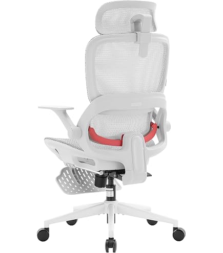 Amazon.co.jp: Hara Chair ハラチェア ニーチェ 《標準モデル