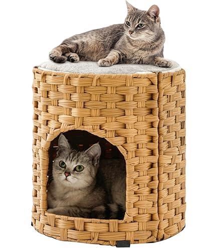 Amazon | 猫 ケージ 2段 木製 おしゃれ 小さめ 3階建て キャットヴィラ