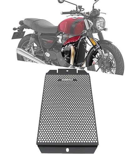 Amazon | ビートジャパン ラジエターガード(シルバー) ZRX1200 DAEG