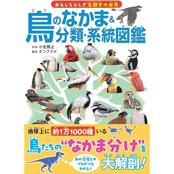 鳥のなかま＆分類・系統図鑑 | 小宮輝之, ポンプラボ |本 | 通販 | Amazon