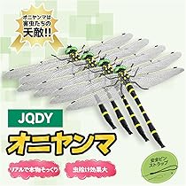 「きようふの昆虫軍団」（お値下げ） 3929e4c3f8ea69f68c1f737a53bf1d