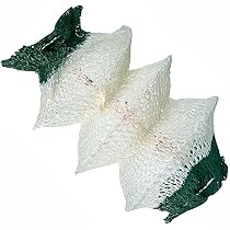 美品 コールマン ノーススターチューブマントルランタン2000 マントル、2枚付 Amazon.co.jp: コールマン Coleman ノーススターチューブ